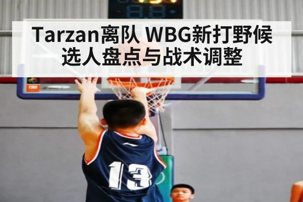 Tarzan离队 WBG新打野候选人盘点与战术调整
