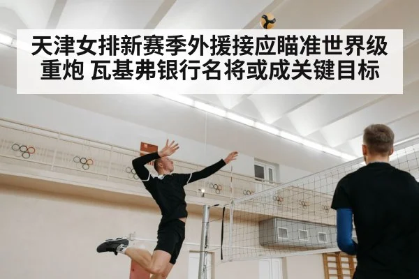 天津女排新赛季外援接应瞄准世界级重炮 瓦基弗银行名将或成关键目标