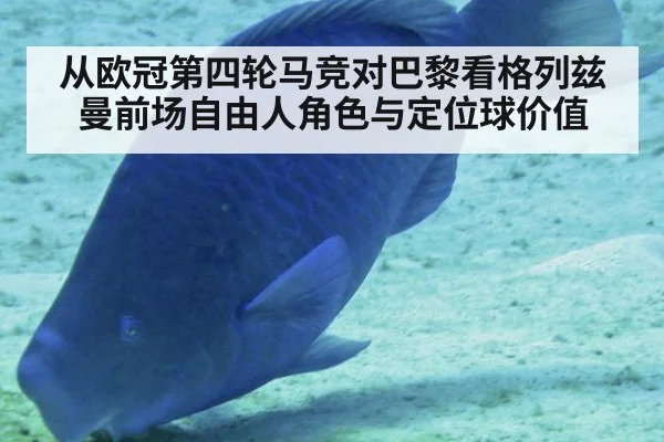 从欧冠第四轮马竞对巴黎看格列兹曼前场自由人角色与定位球价值